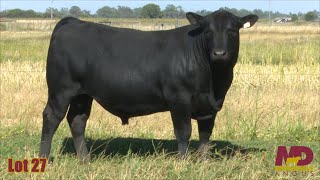 Lot 27 Merridale Tyrell CMD22T90 [upl. by Ecydnac910]