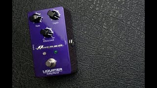 Ampeg Liquifier [upl. by Rosenkrantz94]