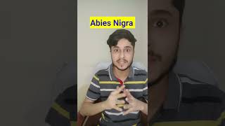 Abies Nigra Homeopathic Medicine shorts youtubeshorts [upl. by Barbe]