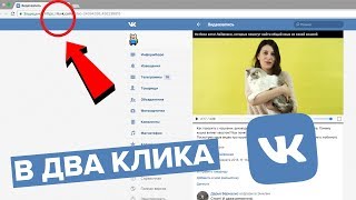 Как скачать видео с ВК за 10 секунд [upl. by Niro]