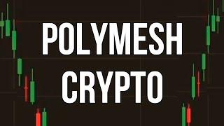 Polymesh Price Prediction News Today 12 December  Polyx Crypto [upl. by Ally]