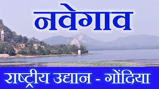 Maharashtra Gondia Tourism Navegaon National Park [upl. by Geehan]