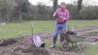 How to plant red or white currants [upl. by Cone]