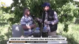 Organik Zirai İlaç Yapımı Kekikli [upl. by Latoya253]