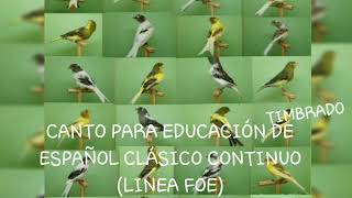 Canto original para enseñanza timbrado español clásico continuo [upl. by Proctor]