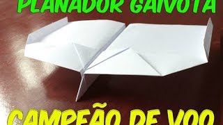 Planador gaivota avião de papel [upl. by Luhey]