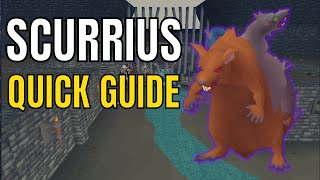 Scurrius Guide  Runescapes New Rat Boss OSRS [upl. by Nomannic]