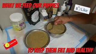 How We Feed Our Puppies To Maintain A Healthy Weight [upl. by Seen]