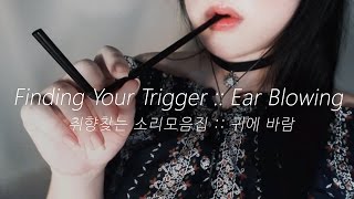 ASMR Ear Blowing Compilation Korean [upl. by Annayad]