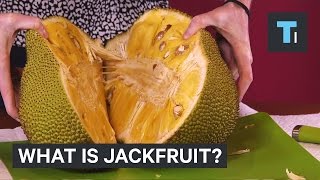 What is jackfruit [upl. by Ayyn]