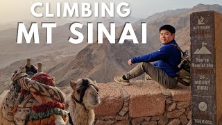 Mt Sinai the Epic Climb to the Summit Dahab Egypt  Cowell Chan [upl. by Nessaj]