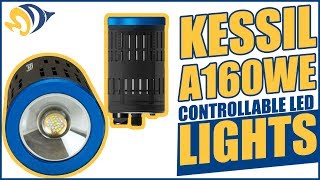 Kessil A160WE Controllable LED Lights What YOU Need to Know [upl. by Ahsahtan]