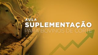 Aulão completo de Suplementação de Bovinos de Corte [upl. by Alihet]