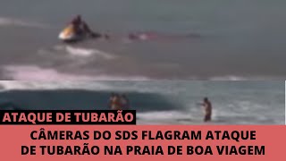 Ataque Real De Tubarão Na Praia De Boa Viagem Recife [upl. by Airdnaz]