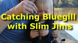 Best bluegill bait  Slim Jims Catch tons of bream [upl. by Noella]