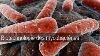 Laboratoire de Biotechnologie Microbienne FSTFès [upl. by Aneetsirhc]