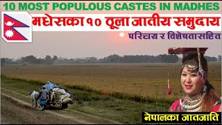 10 Largest Castes of Madhesh Nepal मधेस मूलका १० ठूला जाति  नेपालका जातजाति NEPAL UPDATE [upl. by Ynnig486]