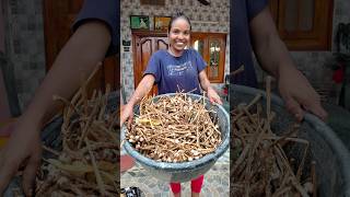 పుట్టగొడుగుల కోసం వేట 🧐 viral trending mushroom food nature [upl. by Eirlav871]