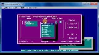 Foxpro Basic Commands [upl. by Illyes]