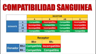 Compatibilidad sanguínea  Tipos de sangre  TrasfusionesFisiología [upl. by Phelia127]