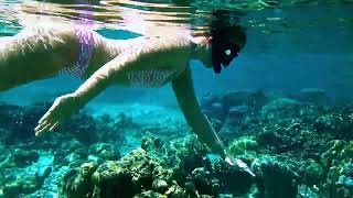 Snorkelling at Furaveri Maldives Ep 1 [upl. by Anastas903]