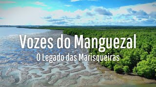 Vozes do Manguezal O Legado das Marisqueiras  Curta Documentário [upl. by Fedora]