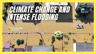 Understanding the Connection Between Climate Change and Recent Floods [upl. by Rett]