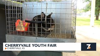 Cherryvale Youth Fair kicks off [upl. by Esela]