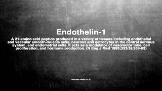 Medical vocabulary What does Endothelin1 mean [upl. by Draner]