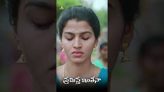 Kalaiyarasan Follows Sai Dhansika  PremistheInthena  shorts  youtubeshorts  SriBalajiVideo [upl. by Pence]