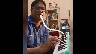 kannalane cover melodica AR Rahman bombay [upl. by Nabila]