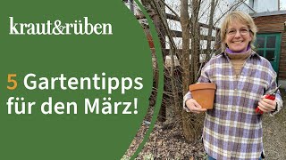 Gartenkalender 5 Tipps für den März [upl. by Rebba364]