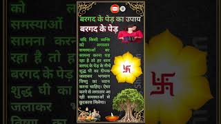 बरगद के पेड़ का उपाय बरगद के पेड़shortsvideoyoutubeshorts [upl. by Cherida]