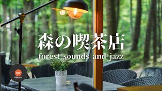 Ambient sounds  JAZZ Gentle Forest sounds Relaxing workstudy CAFE MUSIC  BGM for work☕ [upl. by Hiram]