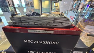 MSC Seashore Bahamas Cruise  Ocean Cay  Nassau  So Much Fun  🛳 🌊 🏝 🚢 [upl. by Ayatnohs]