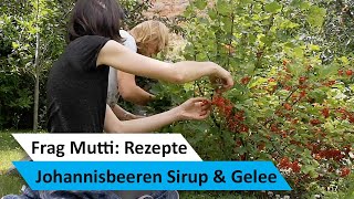 Johannisbeeren Gelee amp Sirup selbermachen 🌸 LandlebenSelbstversorger [upl. by Urias]