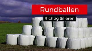 Grassilage Richtig Silieren in Rundballen [upl. by Garth149]