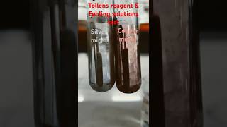 Tollens reagent and Fehling solution test for Aldehyde Functional group analysis class12chemistry [upl. by Kerman782]