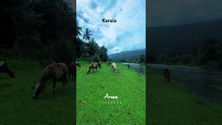 Kerala Attapadi shortvideo shortfeed shorts nature [upl. by Adnohsor]