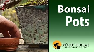 Bonsai Pots  Selection Guide  Bonsai Trees for Beginners Series 94 [upl. by Hildagard362]