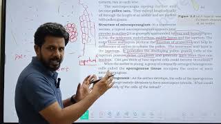 Structure of Microsporangium Line by line MCQs analysis in tamil  NEET 2025 12th std biology [upl. by Ragnar786]