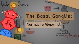 The Basal Ganglia The direct and indirect pathways [upl. by Asseral]