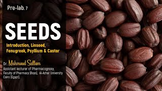 Pharmacognosy 1 Seeds Introduction Linseed Fenugreek Psyllium amp Castor [upl. by Mathre]