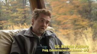 En la Senda del Huemul  Documental [upl. by Yttak]