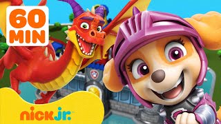 PAW Patrol Dragon Adventures amp Rescues 🐉 1 Hour  Nick Jr [upl. by Anirtik706]