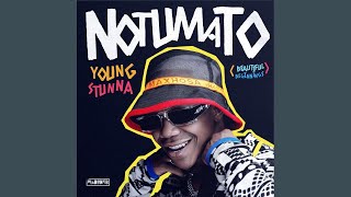 Young Stunna  Ugogo ft Kabza De Small amp Mdu Aka TRP [upl. by Aynotahs]