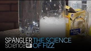 The Science of Fizz  Cool Science Experiment [upl. by Asiar594]