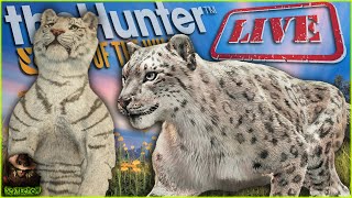 The Tigers Are INCREDIBLE But Lets Hunt Snow Leopards As Well Call of the wild Early Access [upl. by Htabmas]