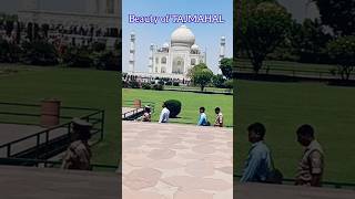 beauty of TAJMAHAL  taaj Mahal agara  beautiful view of TAJMAHAL ❣️ [upl. by Attenaj]