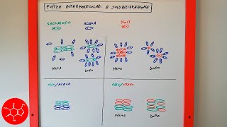 Solubilità di sostanze polari e apolari interpretata con le forze intermolecolari  lezione chimica [upl. by Nick]